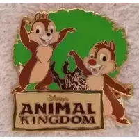 Animal Kingdom Tree of Life Mystery Collection - Chip and Dale