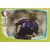 B16 : William Gallas