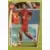 Road to UEFA Euro 2008 - Album C - Milieux de terrain - C13 : Hamit Altintop