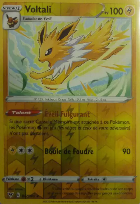Voltage Eclatant - Voltali Reverse