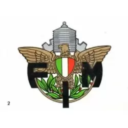 FIM
