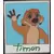 Characters & Cameras Mystery Collection - Timon