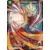 Vicious Rejuvenation [BT12] - Son Goku, Prémonition catastrophique