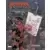 Beaux livres Marvel - Tout l\'Art de Deadpool - Dessine moi un psychopathe