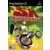 Jeux PS2 - SX Superstar