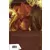 Buffy contre les vampires - Saison 08 - Crépuscule