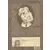 India Dreams - Lhakna (carnet de croquis)