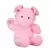 Pinky Pig