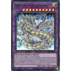 Dragon Cyber Éternité