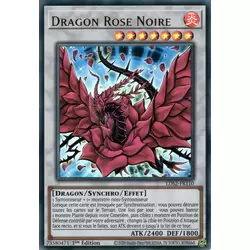 Dragon Rose Noire