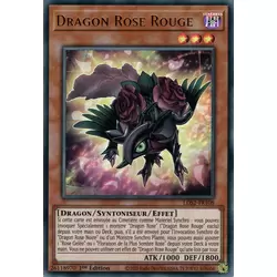 Dragon Rose Rouge