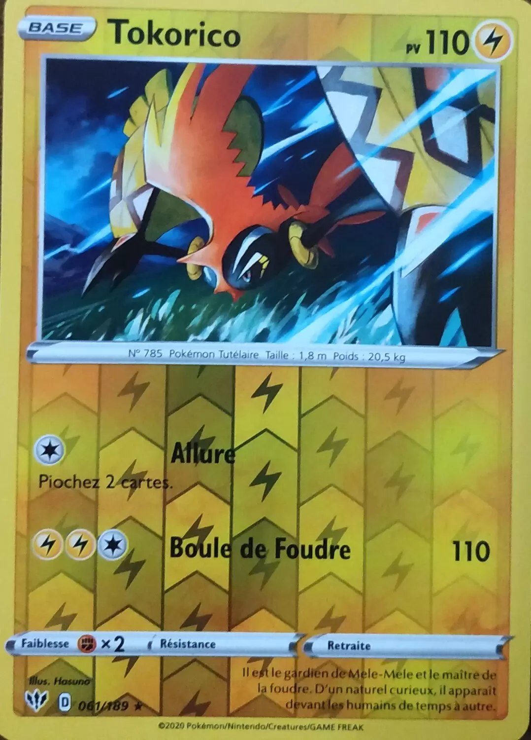 Ténèbres Embrasées - Tokorico Reverse