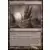 Dakmor Salvage