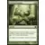 Modern Masters 2013 - Echoing Courage