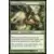 Eternal Witness