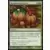 Modern Masters 2013 - Incremental Growth