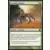 Modern Masters 2013 - Kodama\'s Reach