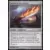 Sword of Fire and Ice