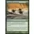 Modern Masters 2013 - Tromp the Domains
