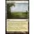 Modern Masters 2013 - Vivid Meadow