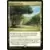 Conspiracy: Take the Crown - Exotic Orchard