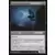Faucon de nuit vampire