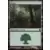 Forêt