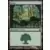Forêt