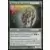 Commander 2011 - Mage du vignoble