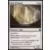 Commander 2011 - Mur d\'augures
