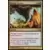 Commander 2011 - Tornade sauvage