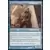 Conspiracy - Marchesa\'s Infiltrator