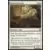 Silverchase Fox