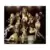 Playgirlz (ALBUM+DVD) (édition Taiwan)