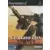 Jeux PS2 - Gungriffon Blaze