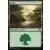 Forêt