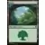 Commander 2017 - Forêt