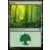 Forêt