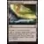 Commander 2017 - Sylves gangrenées