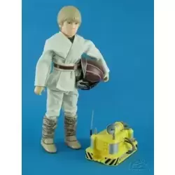 Anakin Skywalker 12''