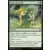 Eternal Masters - Gaea\'s Blessing