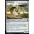 Eternal Masters - Pilgrim\'s Eye
