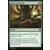 Iconic Masters - Aerial Predation
