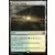 Iconic Masters - Horizon Canopy