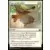 Modern Masters 2017 - Eyes in the skies