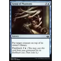 Grasp of Phantoms
