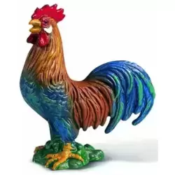 Coq Couleur Qui Chante
