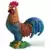 Coq Couleur Qui Chante