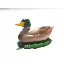Canard couché