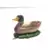 Canard couché